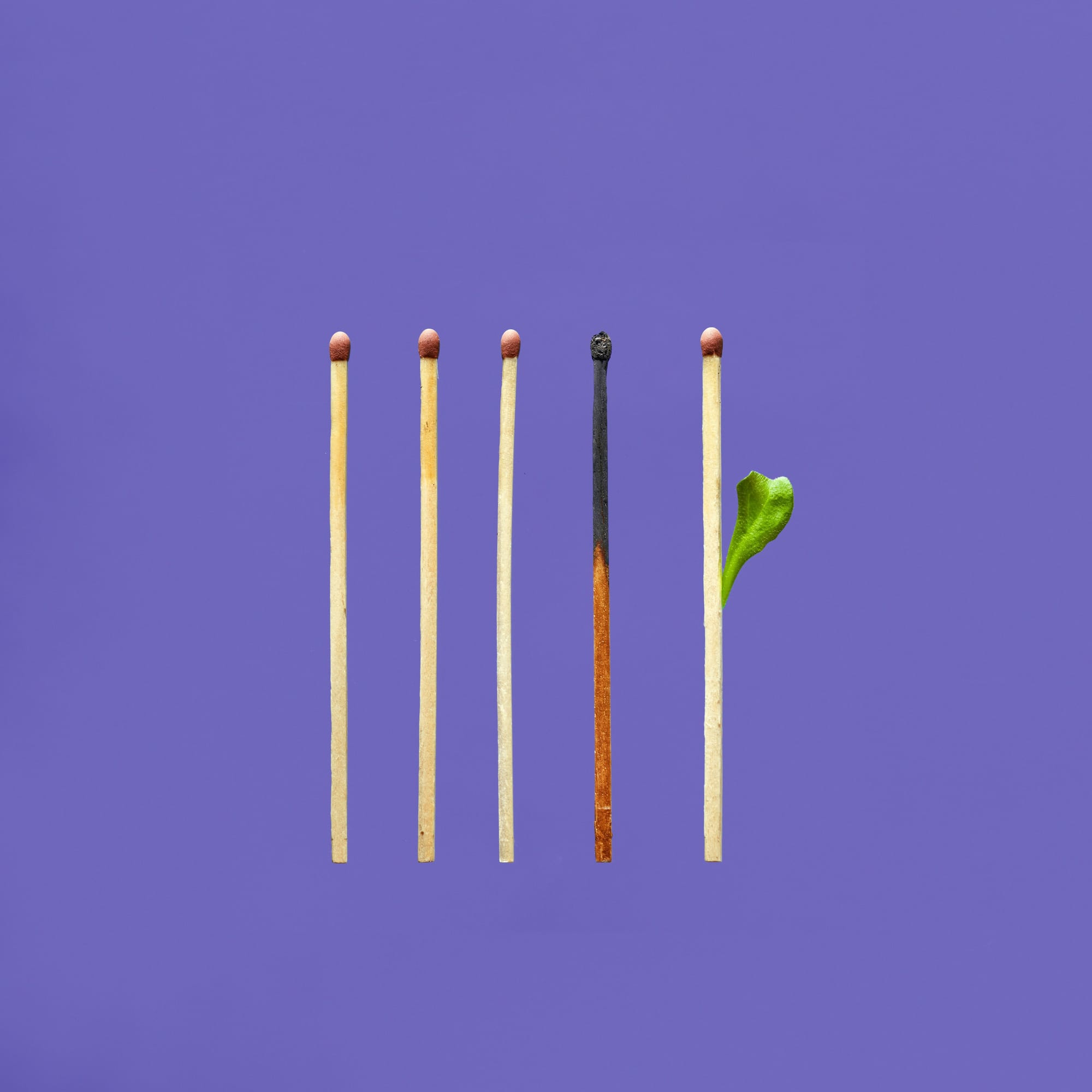 Four matchsticks, the third matchstick is burnt and the fourth has a leaf going out of it.